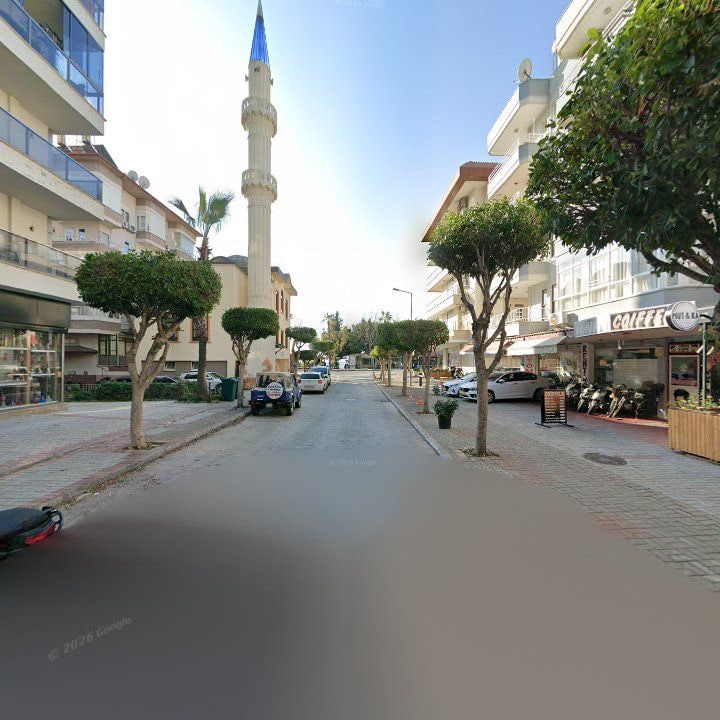 Fotoğraf 10