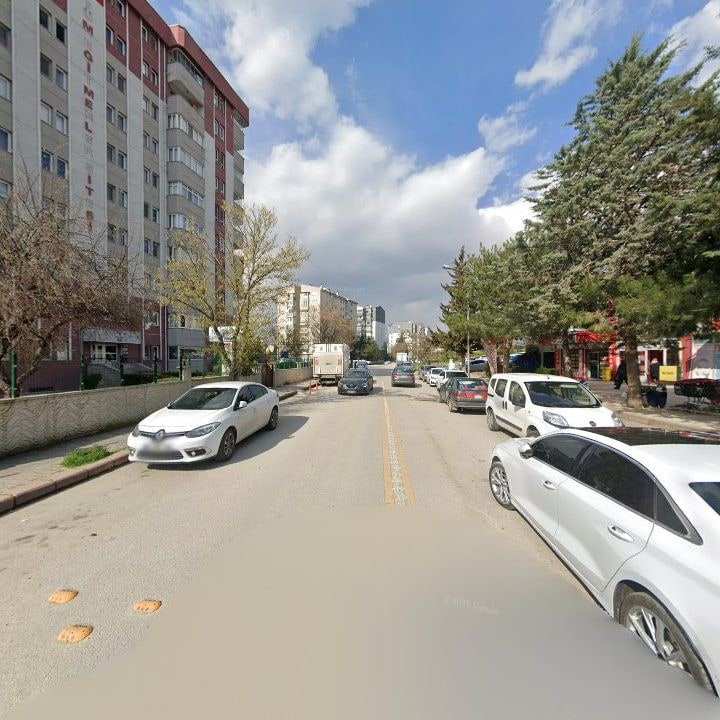 Fotoğraf 10