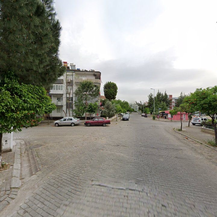Fotoğraf 10