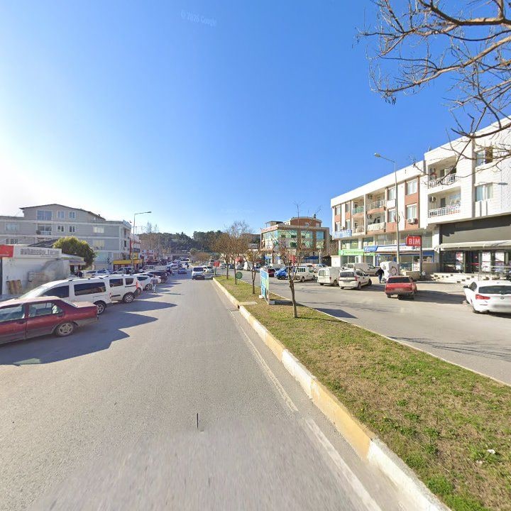 Fotoğraf 7