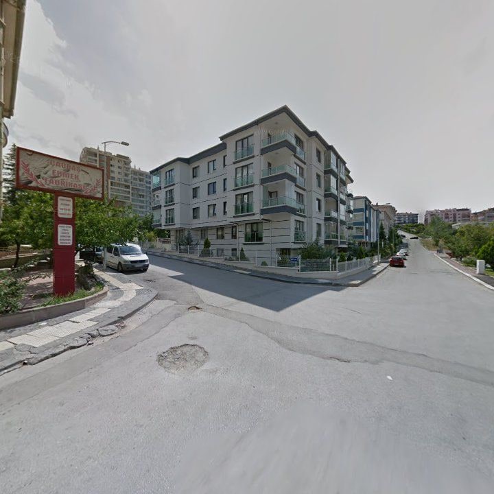Fotoğraf 16
