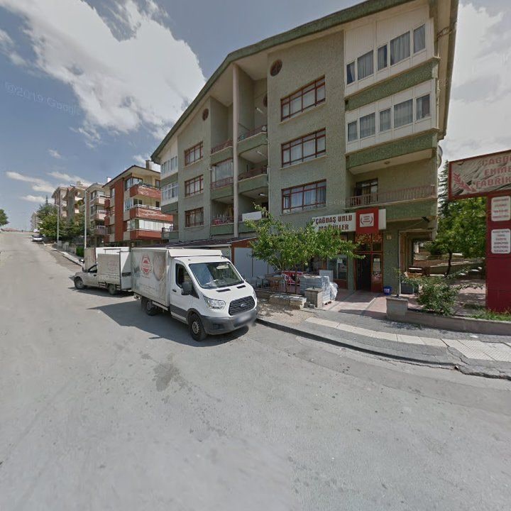 Fotoğraf 15