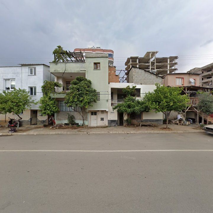 Fotoğraf 7