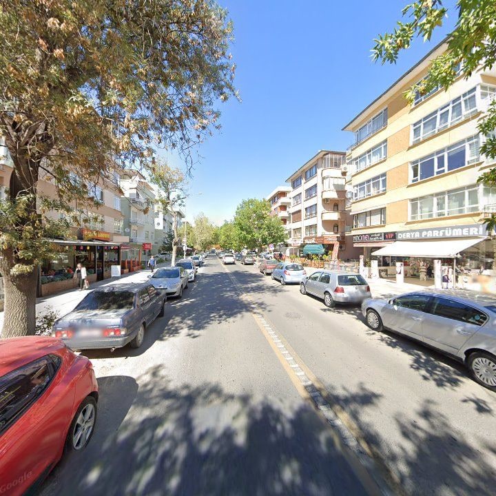 Fotoğraf 12