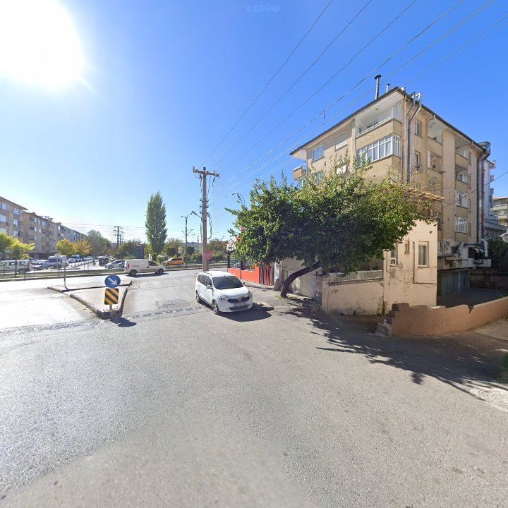 Fotoğraf 9