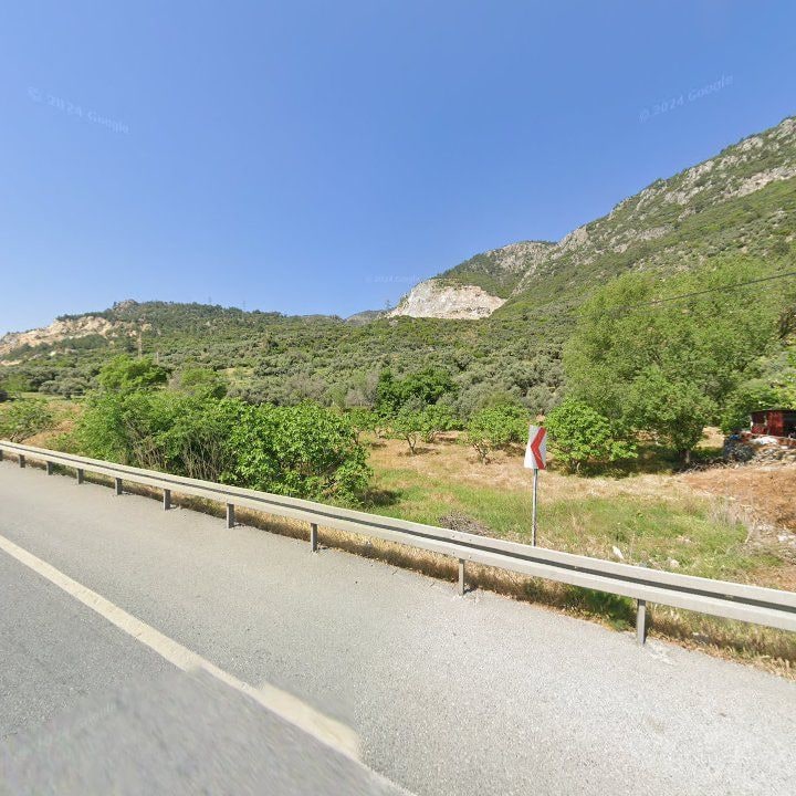 Fotoğraf 11
