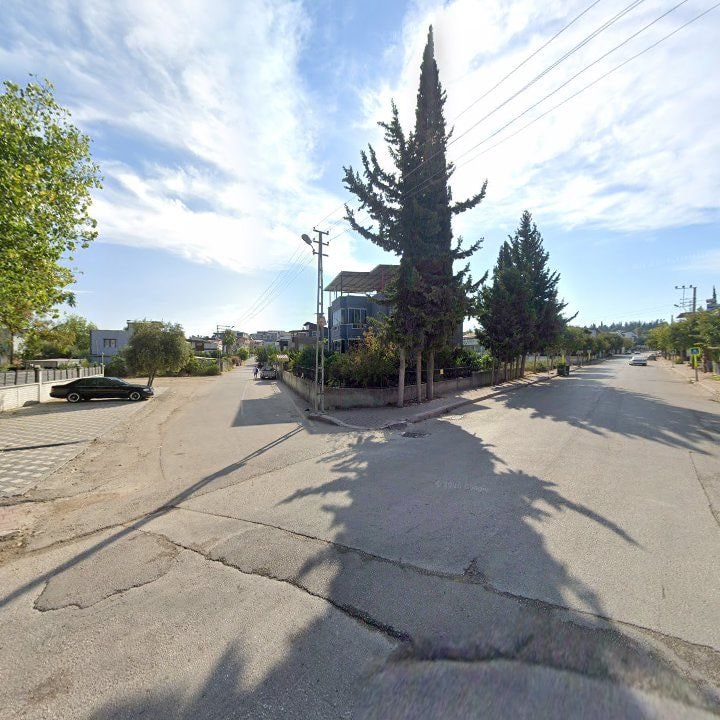 Fotoğraf 8