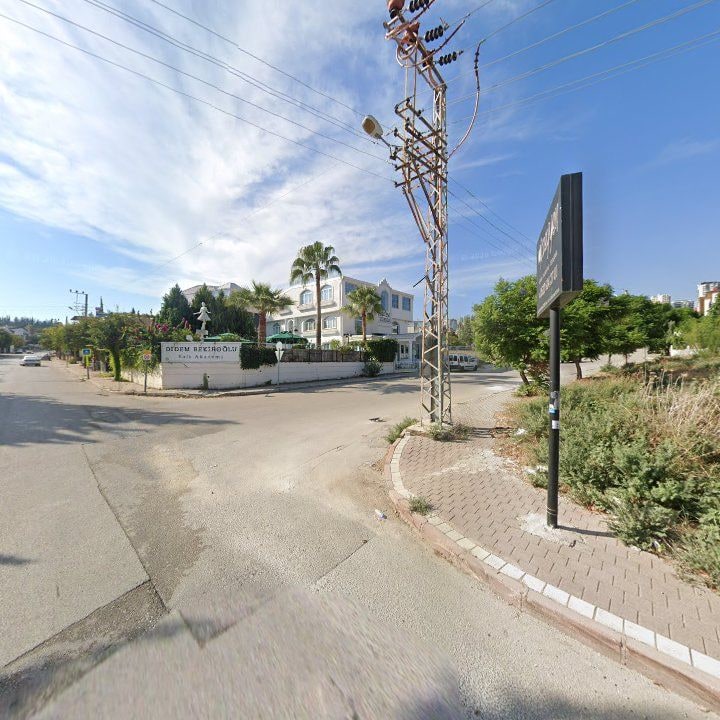 Fotoğraf 9