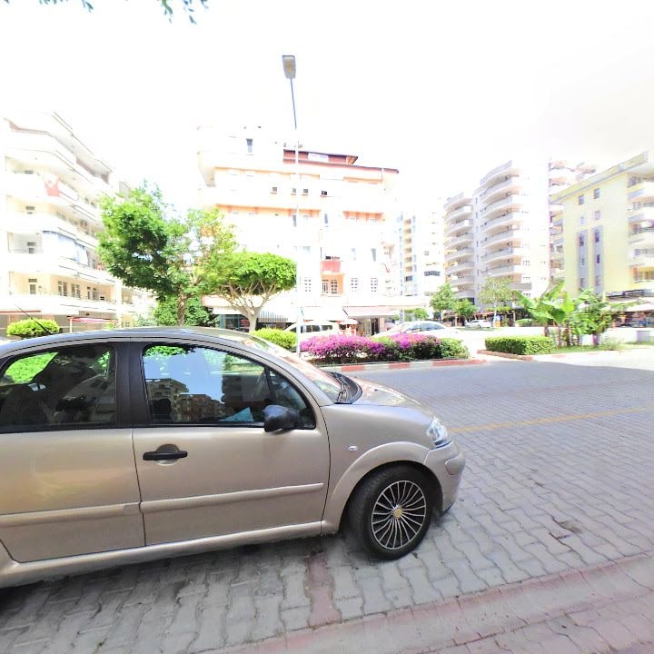 Fotoğraf 8