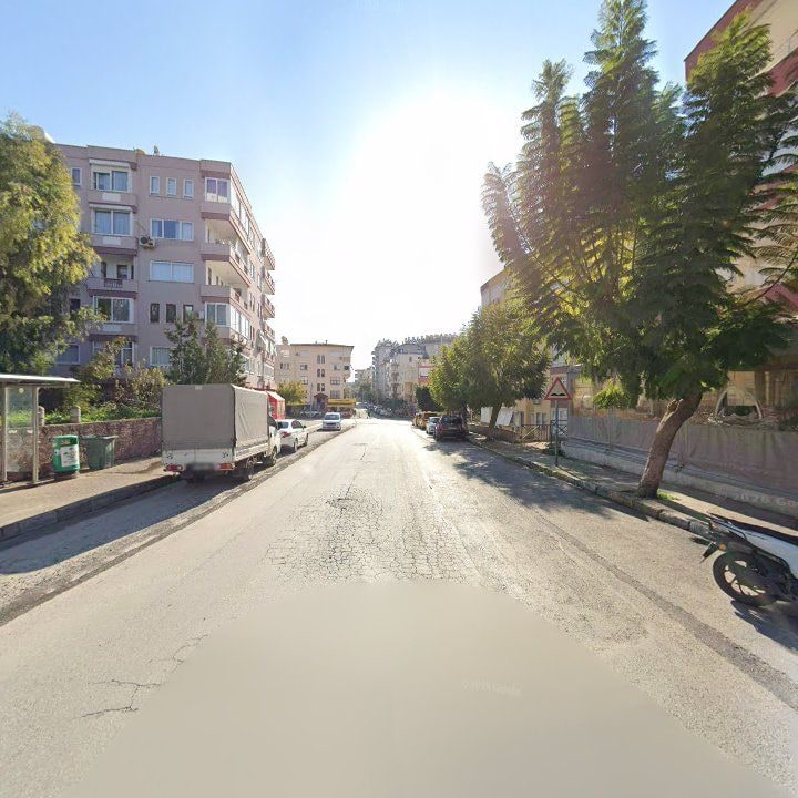 Fotoğraf 11