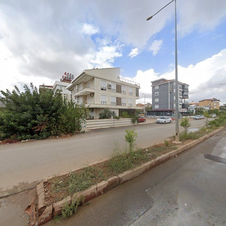 Fotoğraf 11
