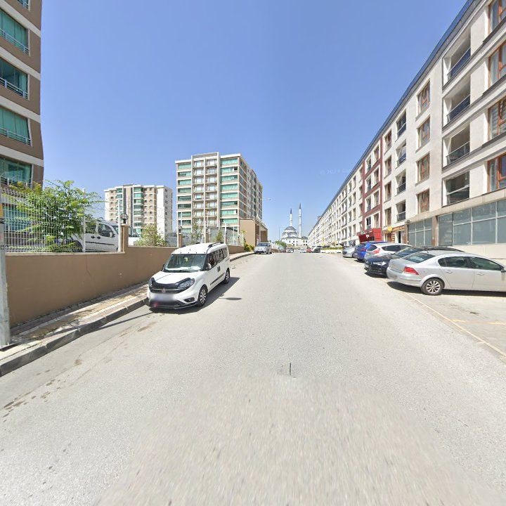 Fotoğraf 9