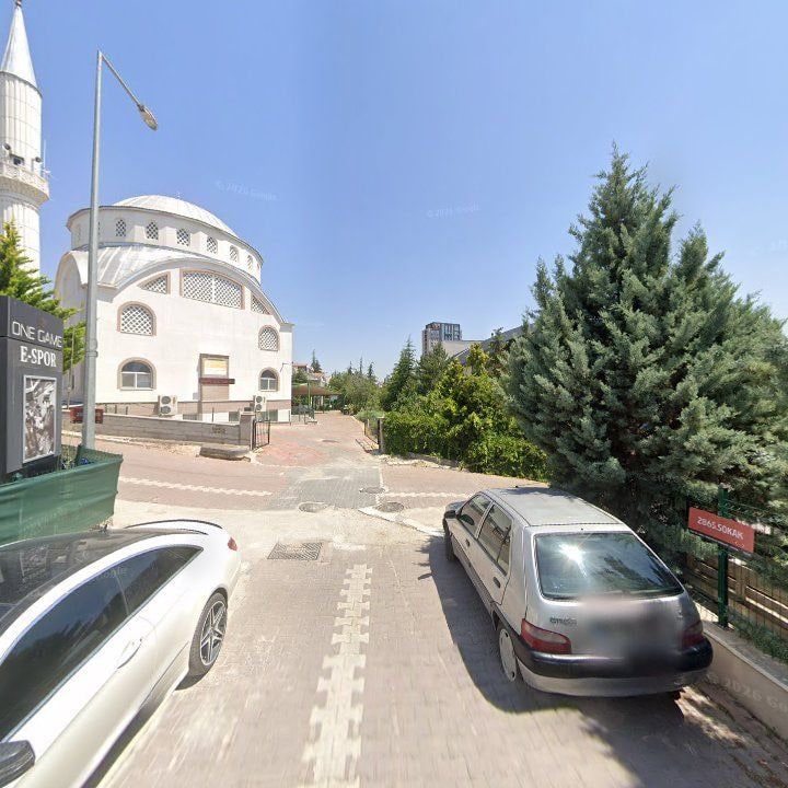 Fotoğraf 7