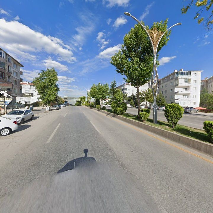 Fotoğraf 6