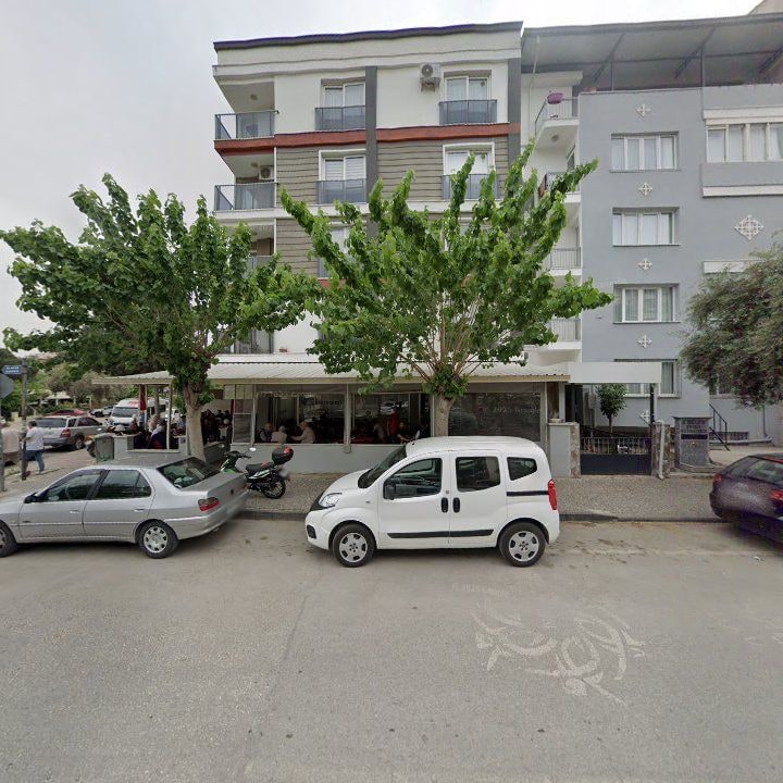 Fotoğraf 8