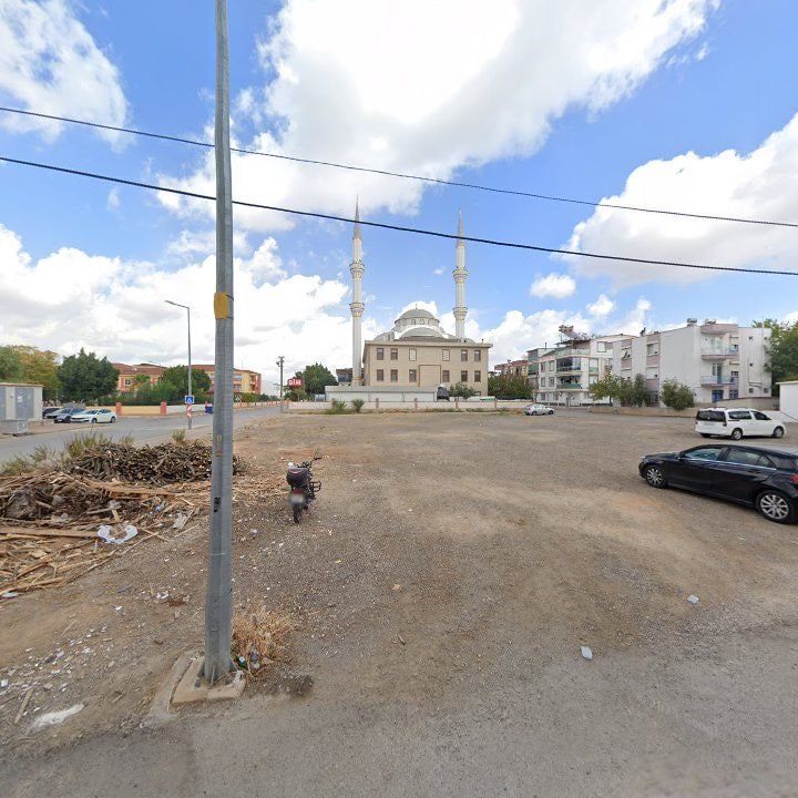 Fotoğraf 3