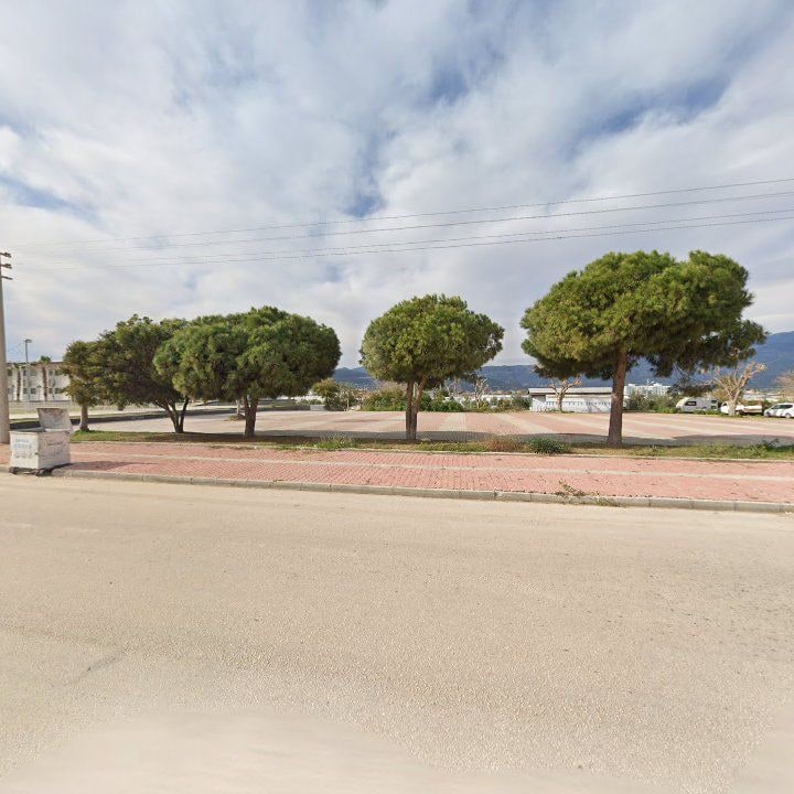 Fotoğraf 8