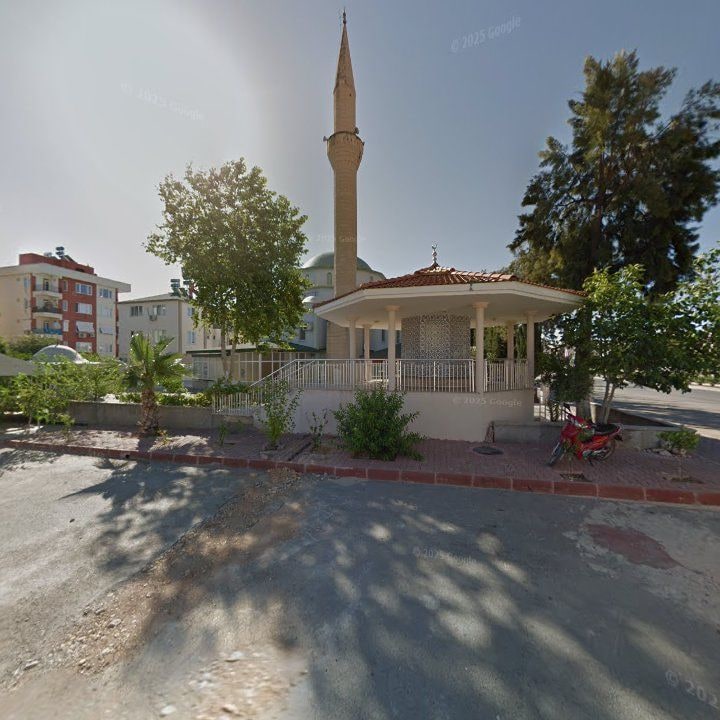 Fotoğraf 7