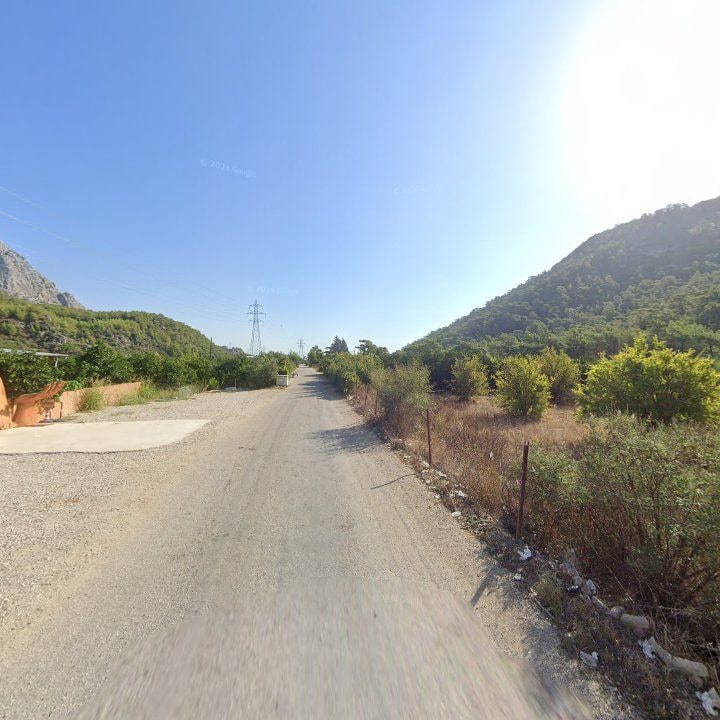 Fotoğraf 10