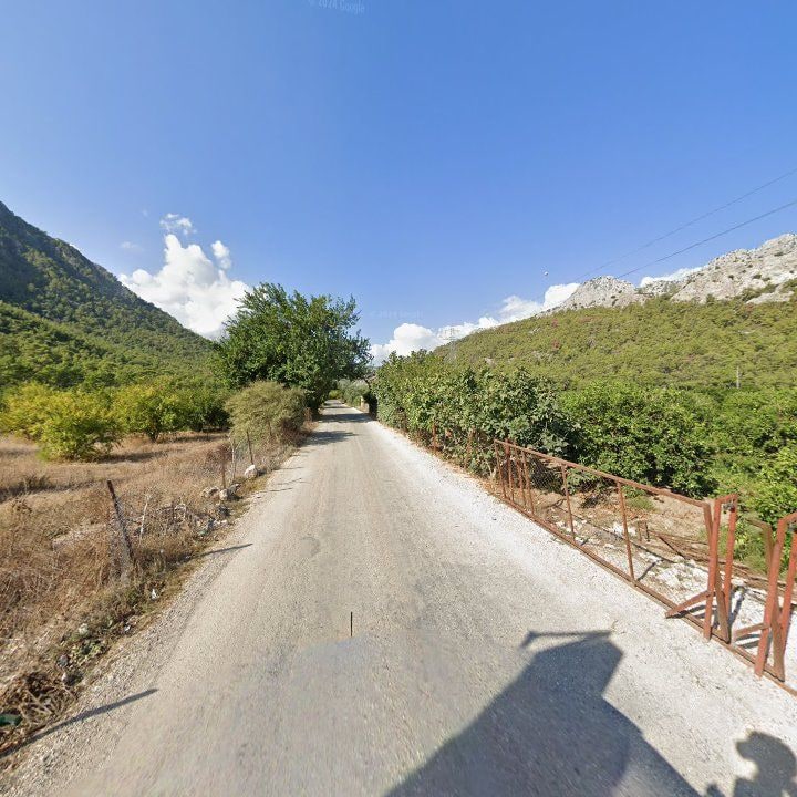 Fotoğraf 12