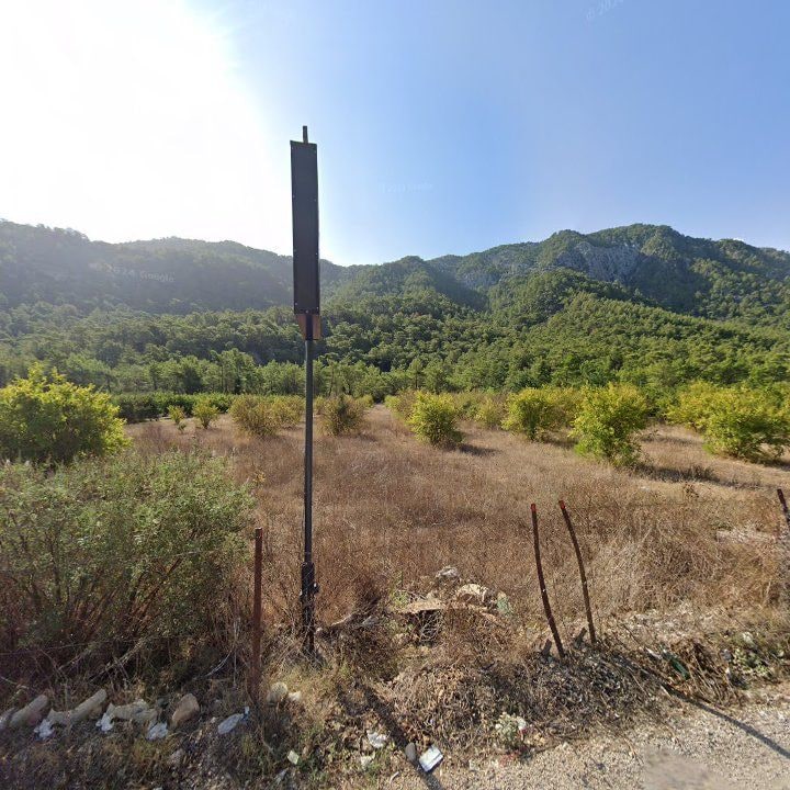 Fotoğraf 11
