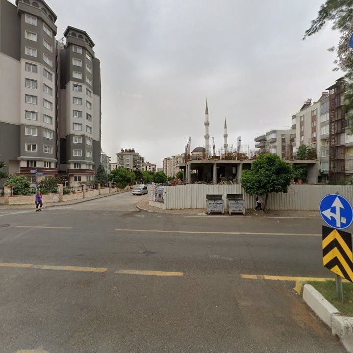 Fotoğraf 10