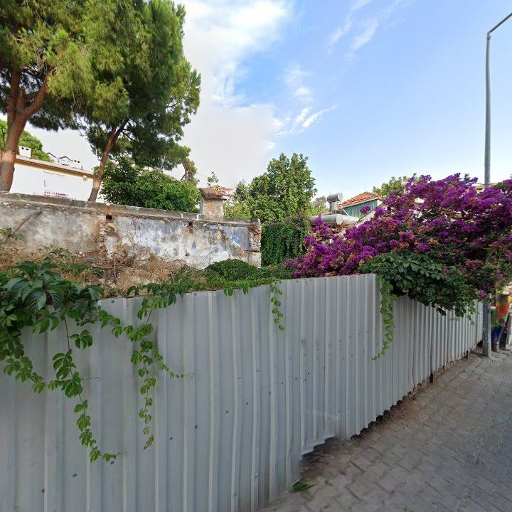 Fotoğraf 10