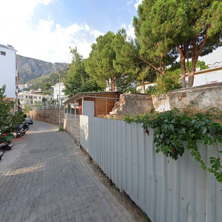 Fotoğraf 9