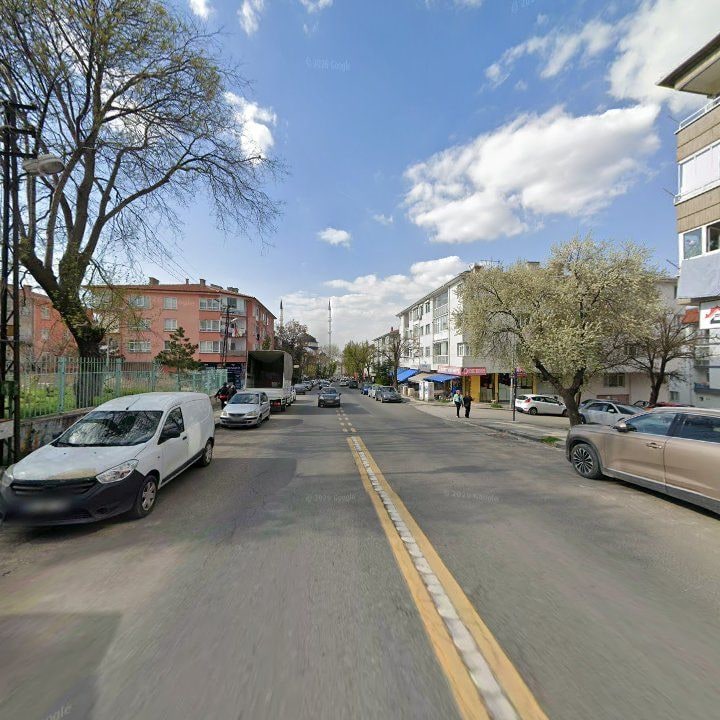 Fotoğraf 9