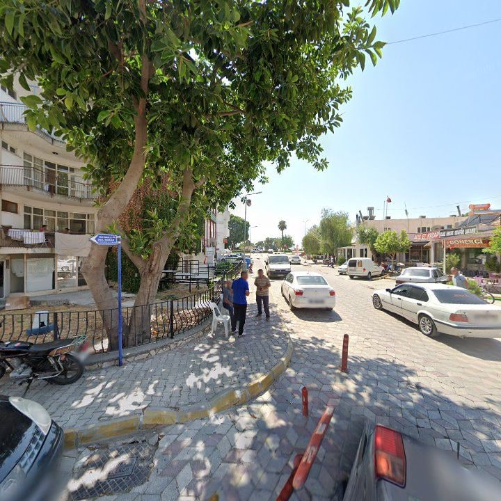 Fotoğraf 8