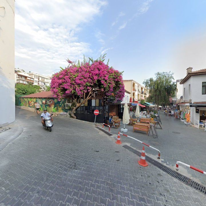 Fotoğraf 11