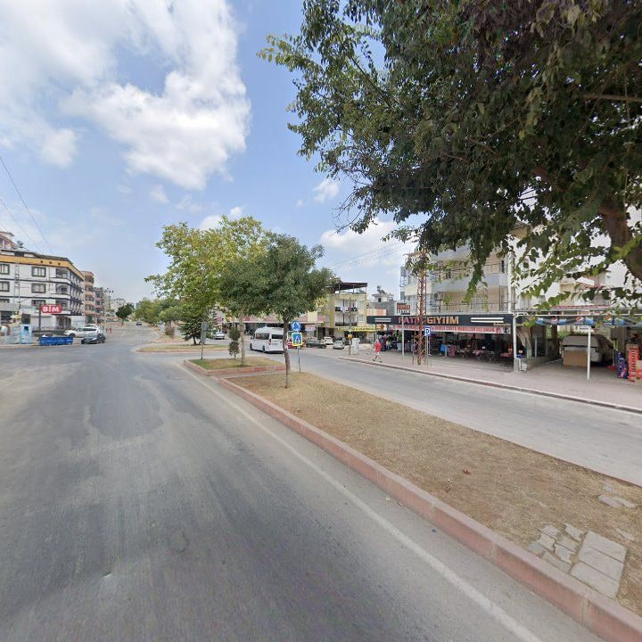 Fotoğraf 7