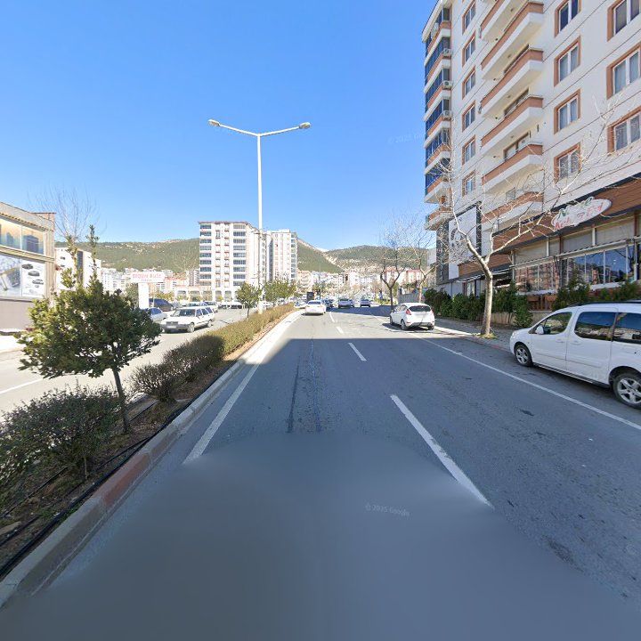 Fotoğraf 8