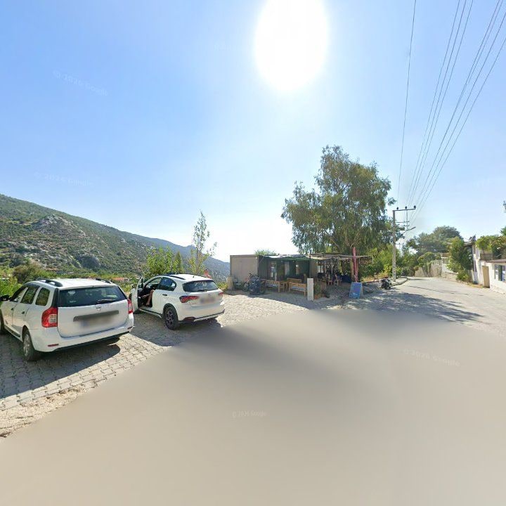 Fotoğraf 11