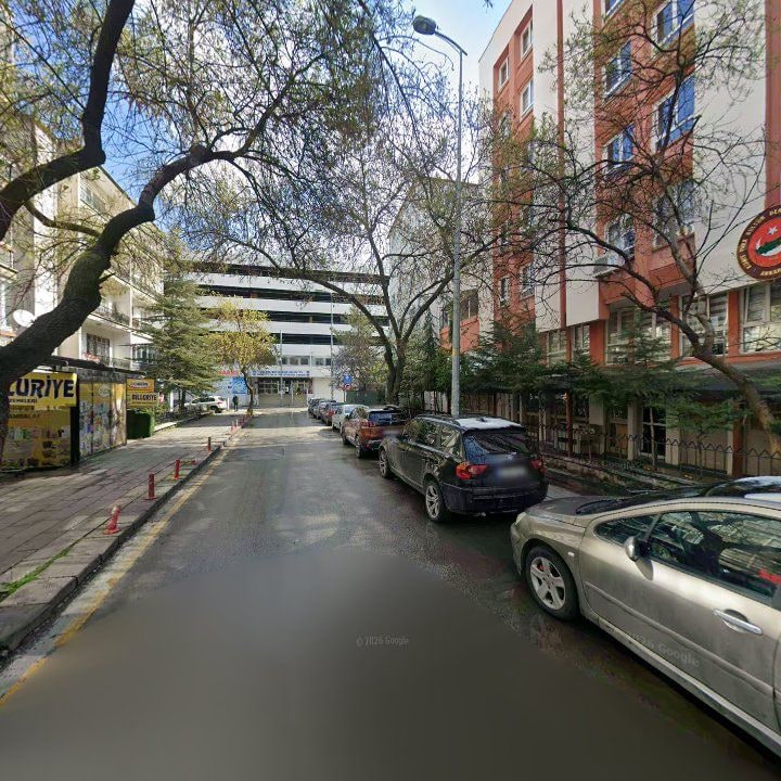 Fotoğraf 8
