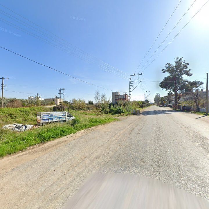 Fotoğraf 6