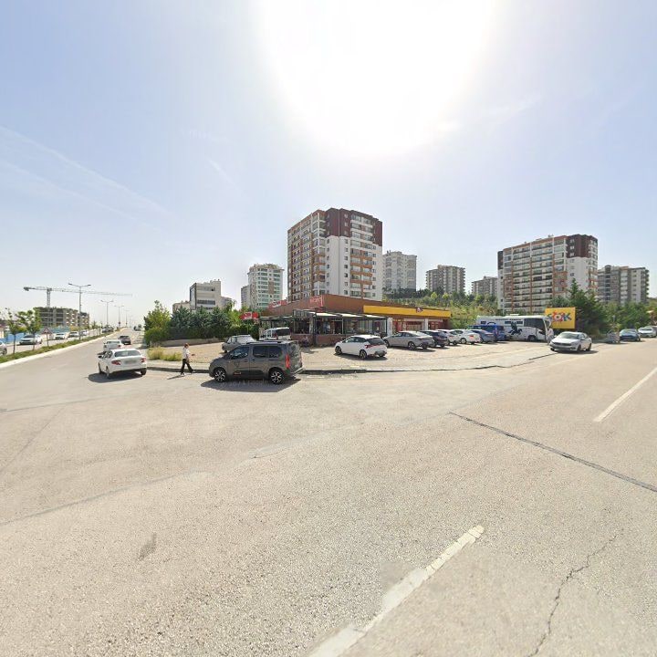 Fotoğraf 8