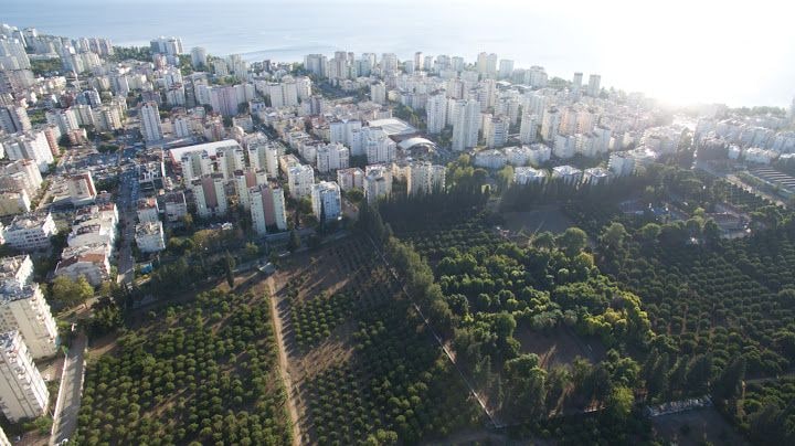 Narenciye Bahcesi