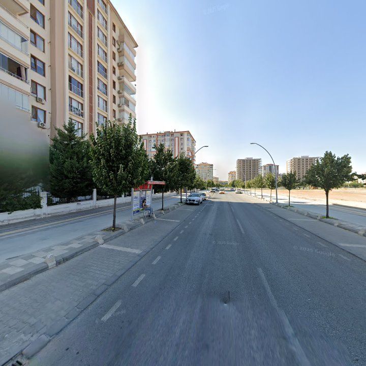 Fotoğraf 10