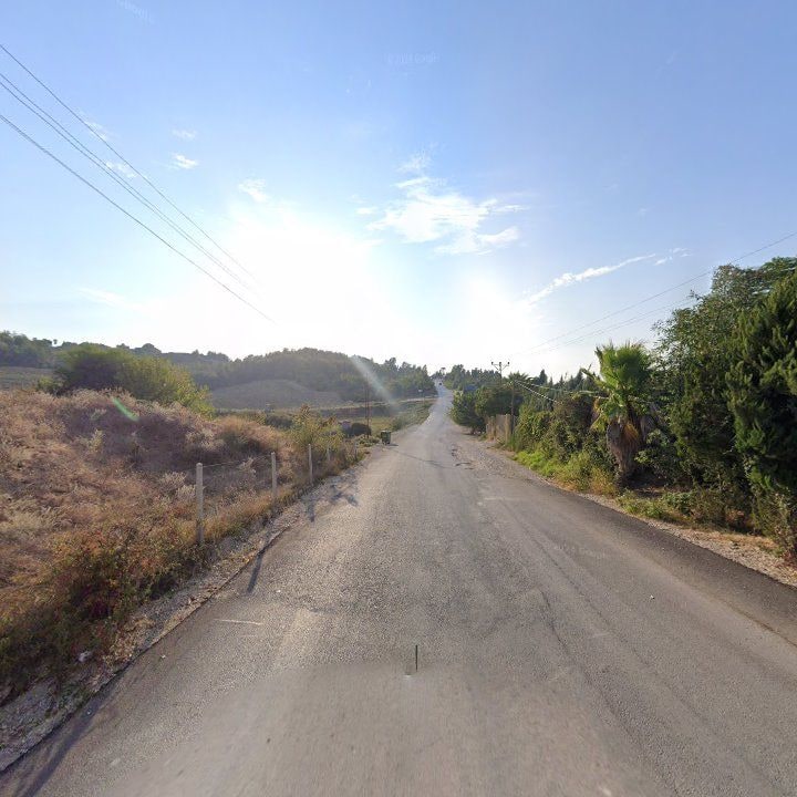 Fotoğraf 11