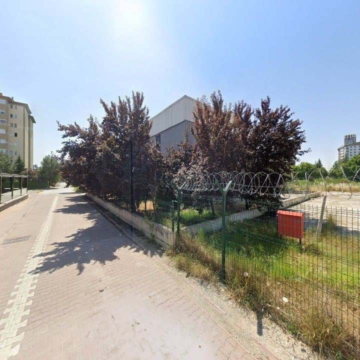 Fotoğraf 9