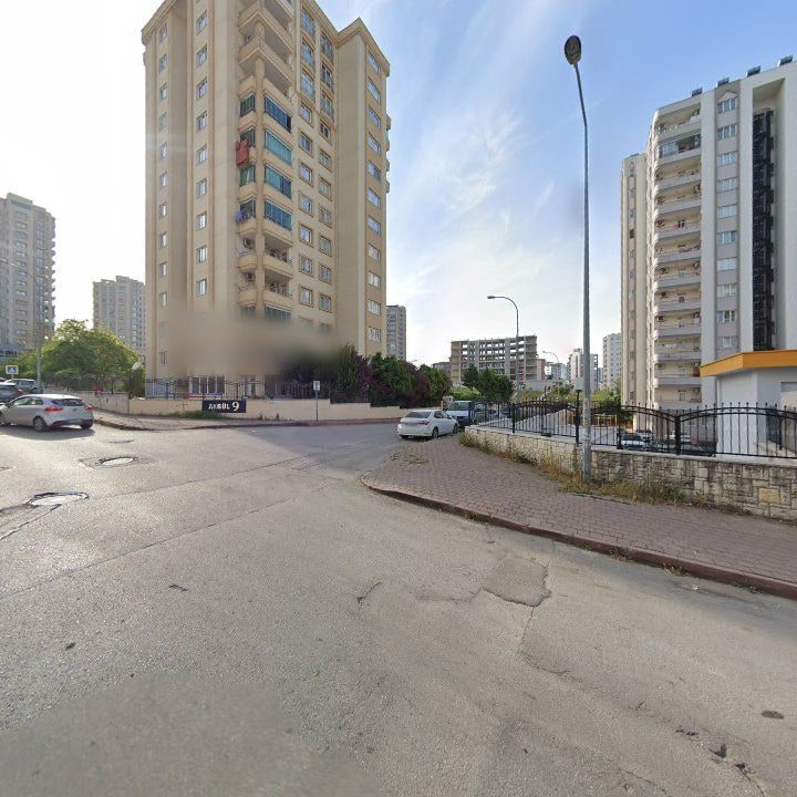 Fotoğraf 12