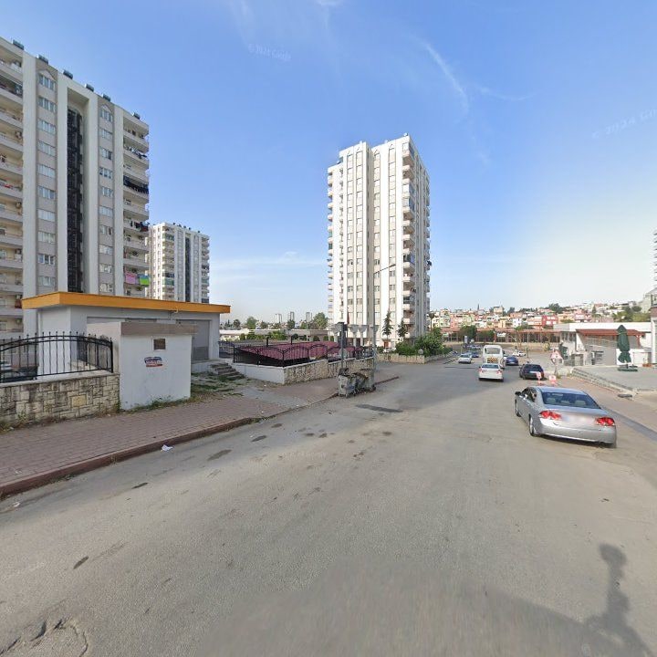 Fotoğraf 13