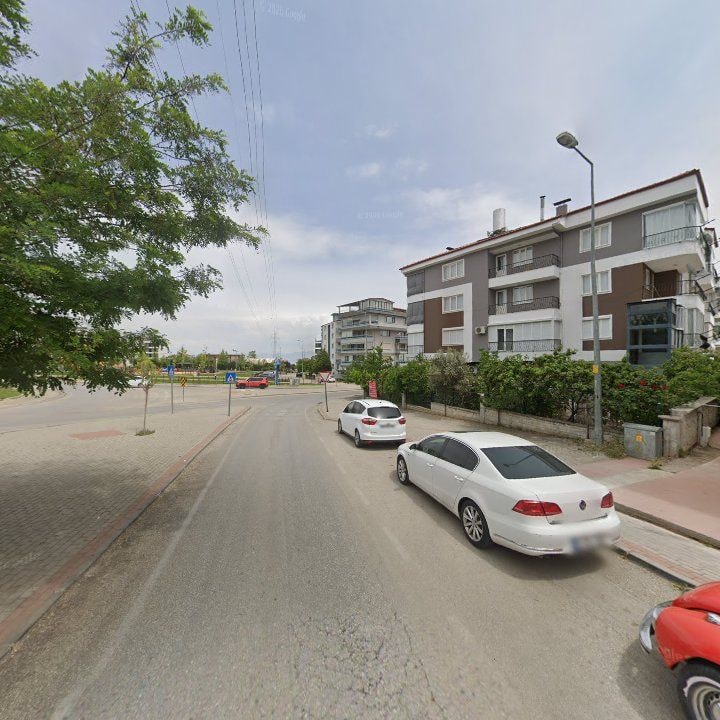 Fotoğraf 12