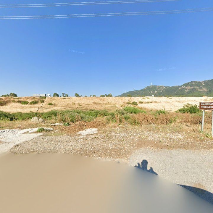 Fotoğraf 11