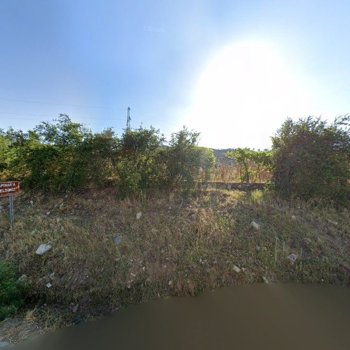 Fotoğraf 9
