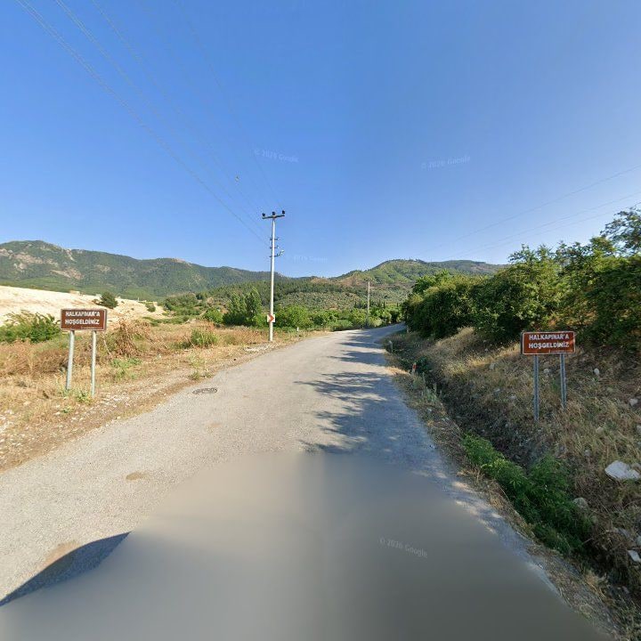 Fotoğraf 12