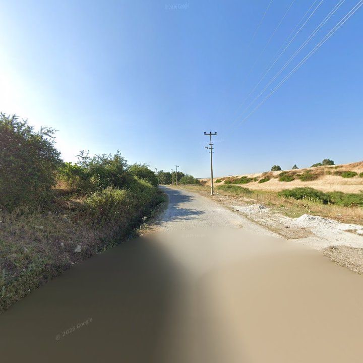 Fotoğraf 10