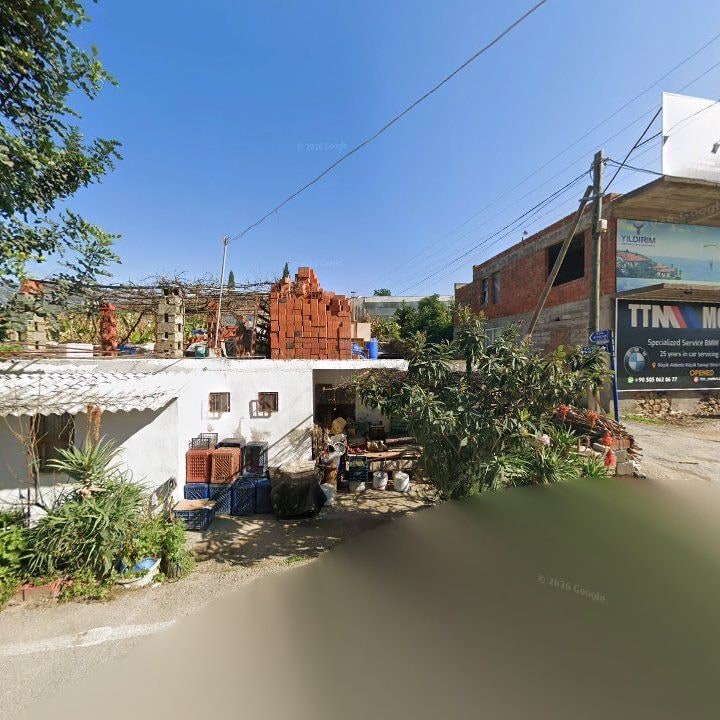 Fotoğraf 15
