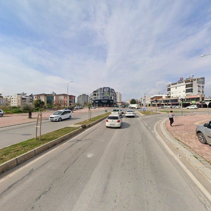 Fotoğraf 11